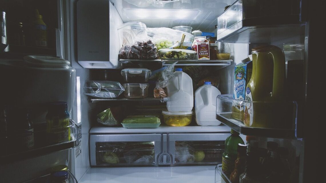 Comment réparer un frigo qui ne refroidit pas ?