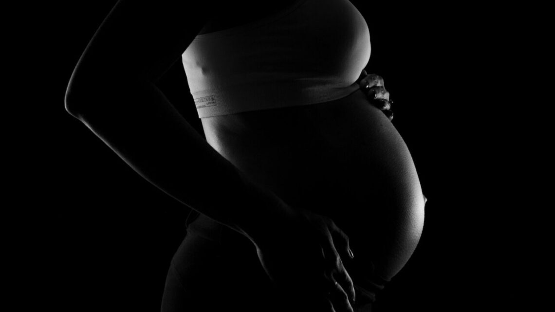 Quel est le meilleur moment pour faire une séance photo de grossesse ?