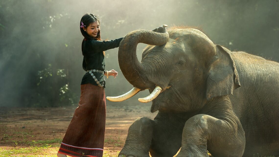 La tendance des bagues épurées éléphant : symbole d’une élégance simple et minimaliste